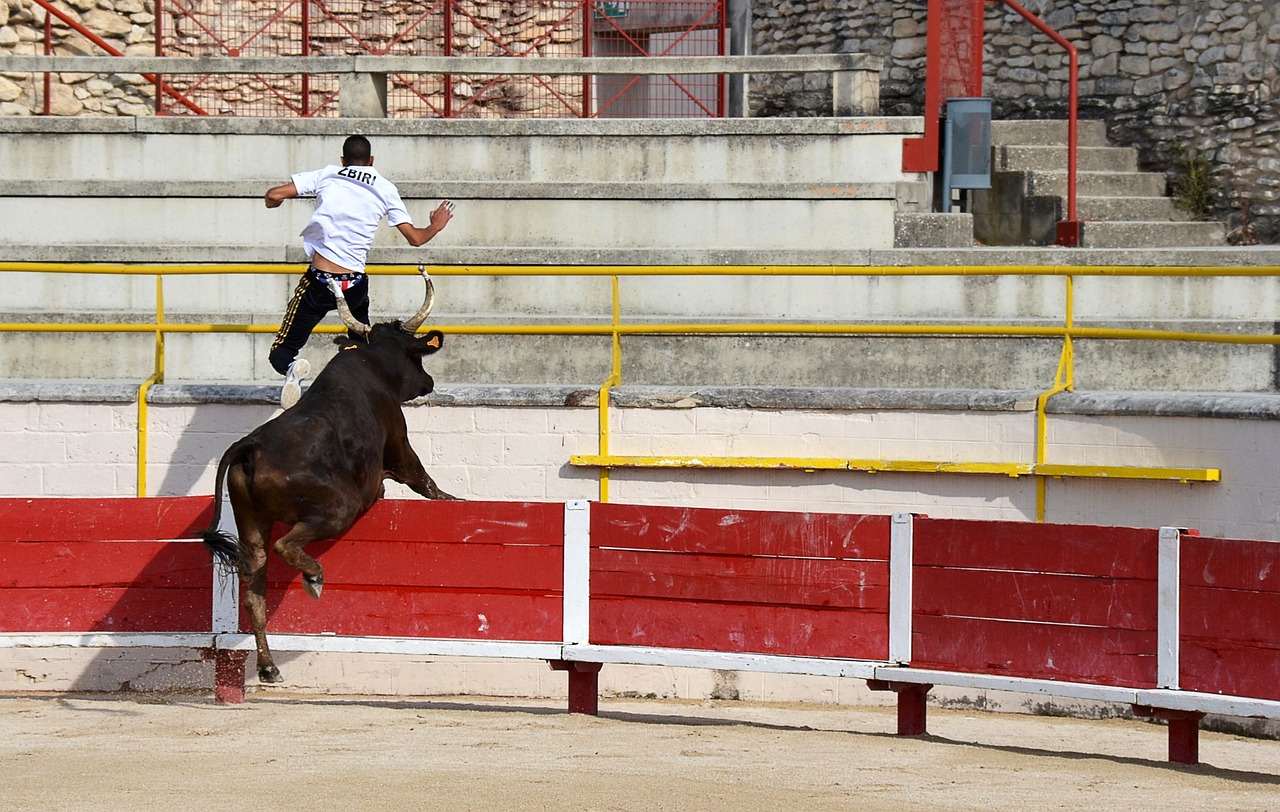 對勝利的強