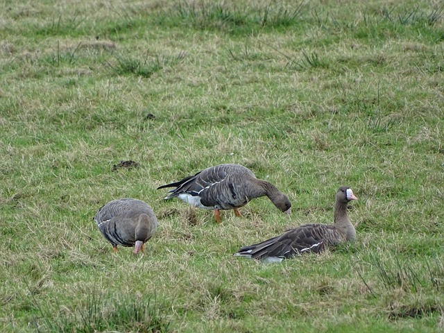 予奖杯更高 予奖杯更高