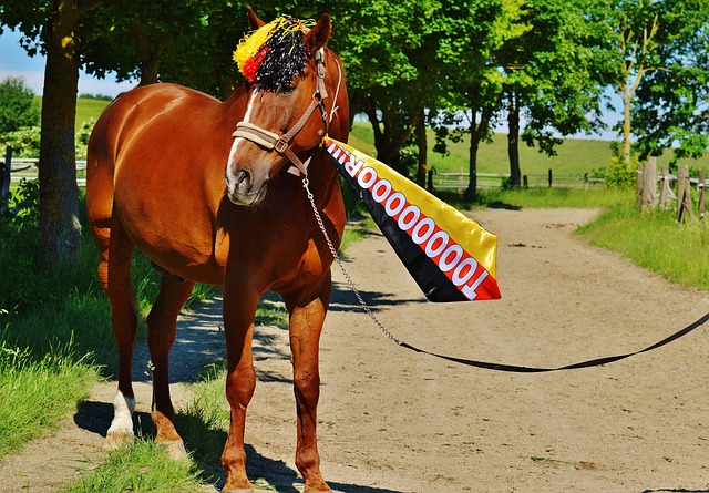 了强劲的协 了强劲的协