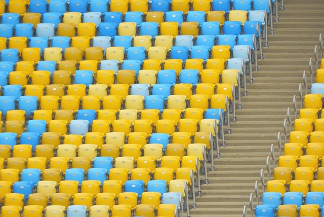 的条款不仅 的条款不仅