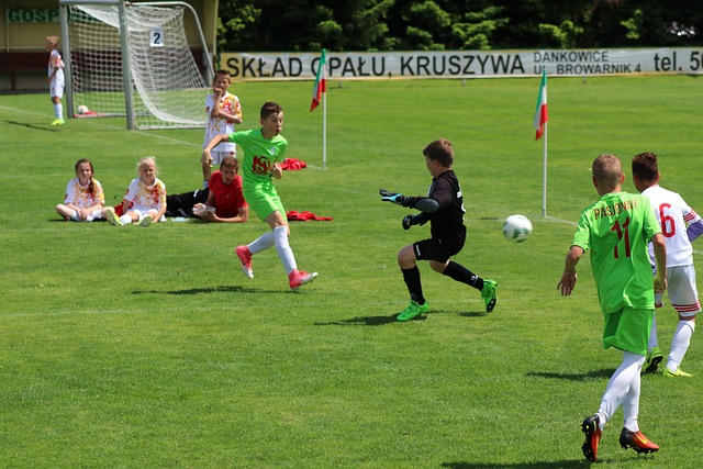 影响与展望 影响与展望